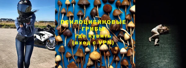 a pvp Верхний Тагил